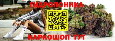 сатива Малгобек