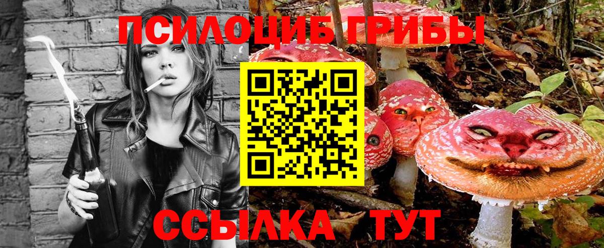 Псилоцибиновые грибы MAGIC MUSHROOMS  Вход с VPN  Псилоцибиновые грибы GOLDEN TEACHER  Заволжье 